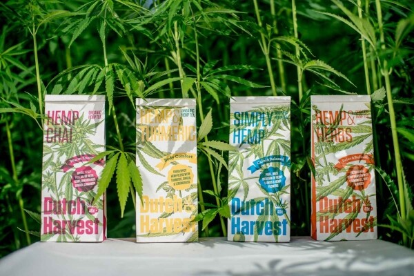 Hanf Chai - Hanf Chai-Tee 50 Gramm - Dutch Harvest loser Tee