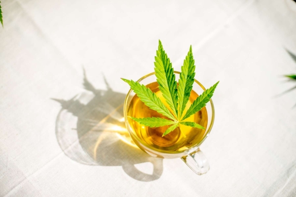 Hanf Chai - Hanf Chai-Tee 50 Gramm - Dutch Harvest loser Tee