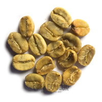 Kaffeebohnen in der Trocknungsphase