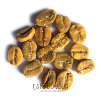 Kaffeebohnen in der gelben Phase