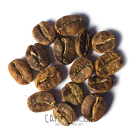 Kaffeebohnen in der gelb-braunen Phase