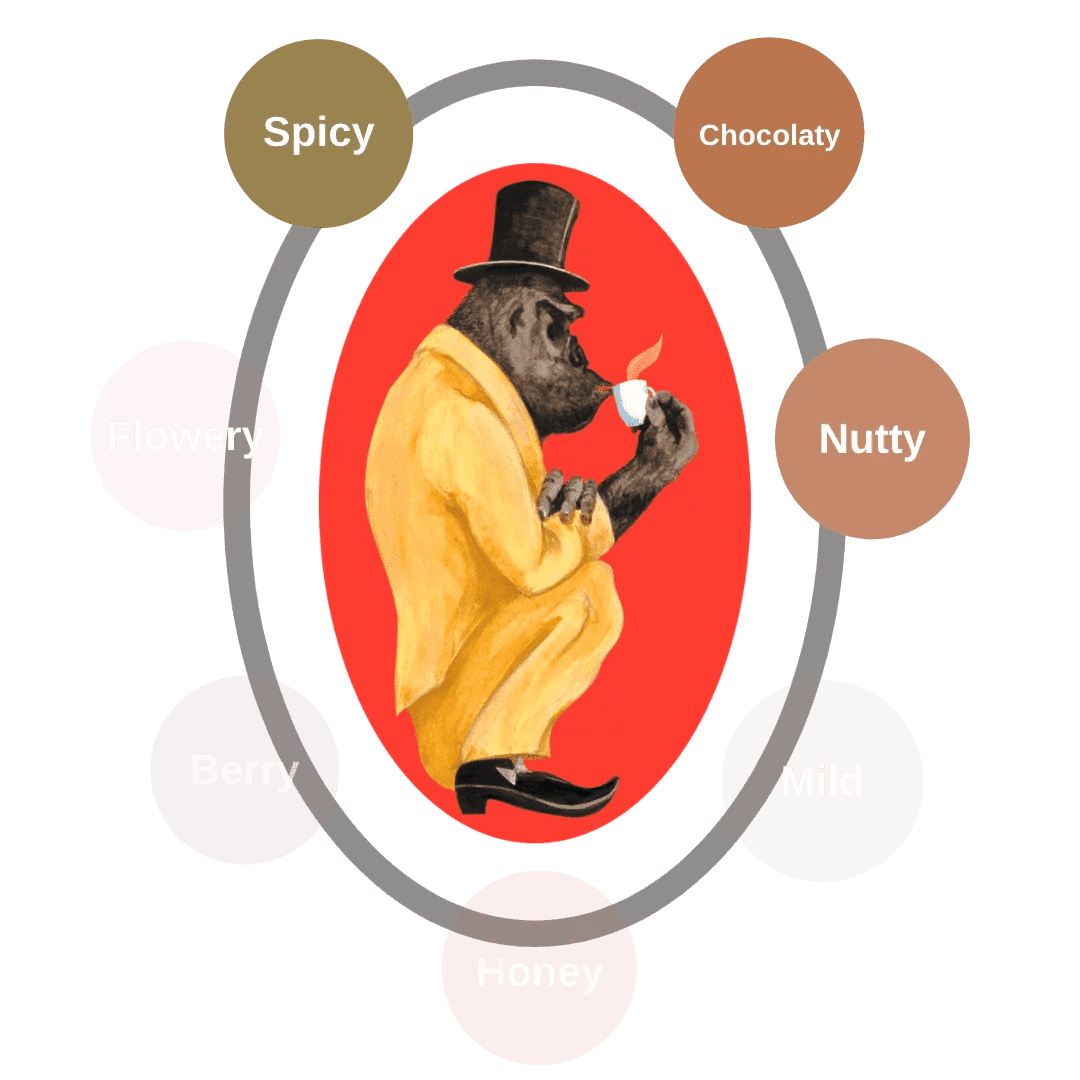 Aromen von Gorilla Bar Crema Silber - Kaffeebohnen - 1 Kilo